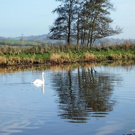 The Bower Inn 브리지워터 외부 사진 Swans on the River Wye